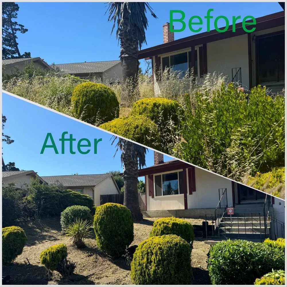 Professional lawn mowing service for residential properties across Fairfield, CA - Guada Gardening