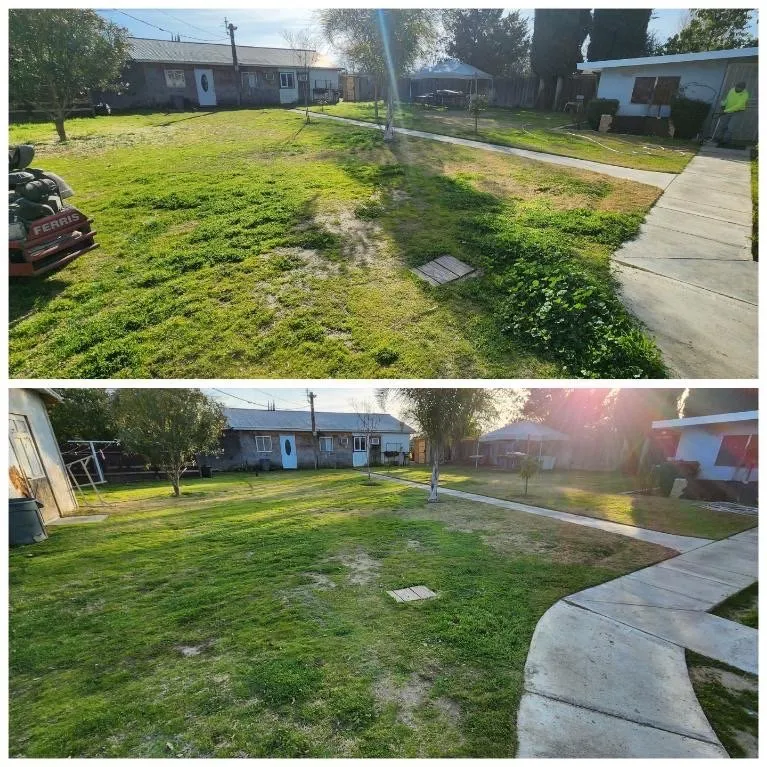 Top-rated lawn care service in Caruthers, CA by Guadalupe landscaping