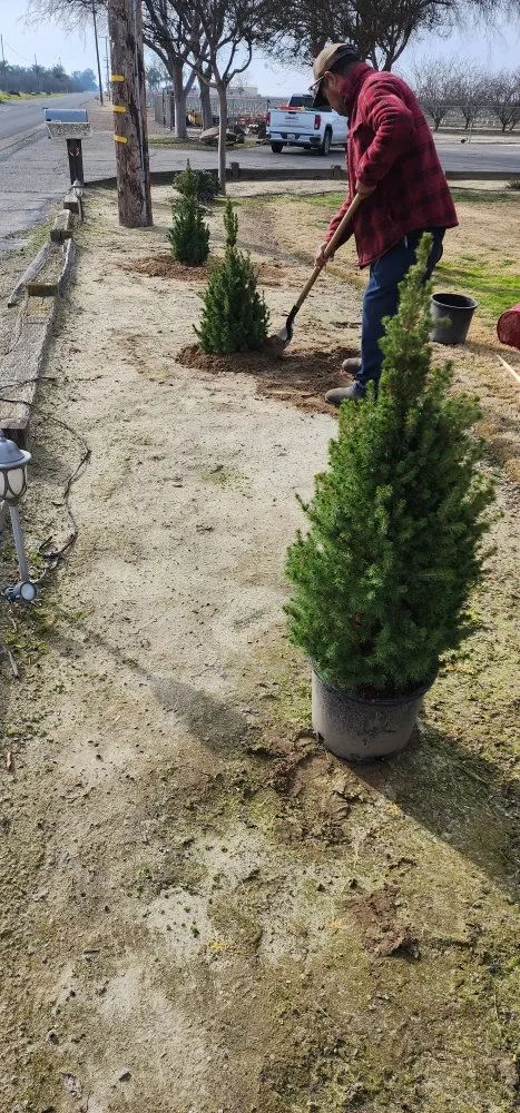 Custom yard maintenance experts serving Caruthers, CA - Guadalupe landscaping