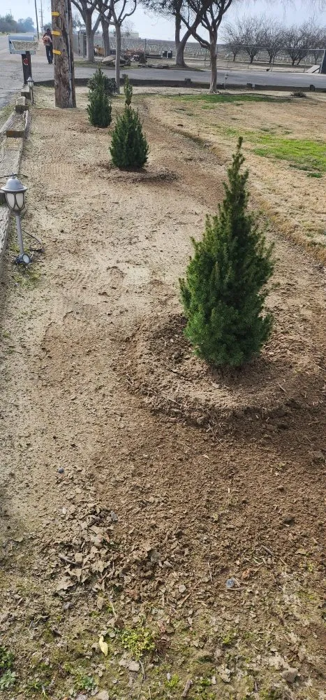 Expert yard maintenance experts serving Caruthers, CA - Guadalupe landscaping