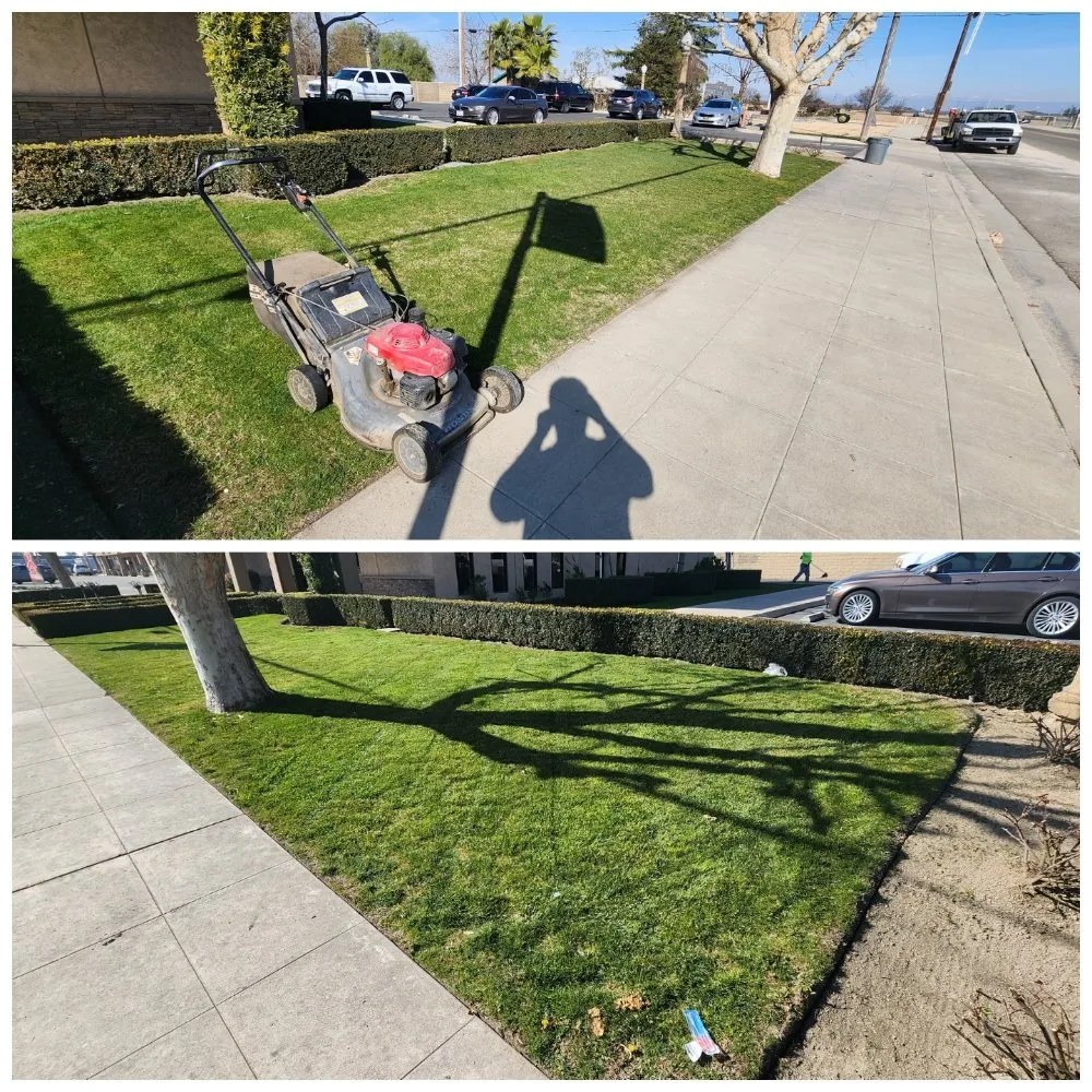 Local landscape installation for outdoor upgrades across Caruthers, CA - Guadalupe landscaping