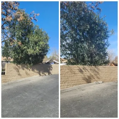 Guadalupe landscaping