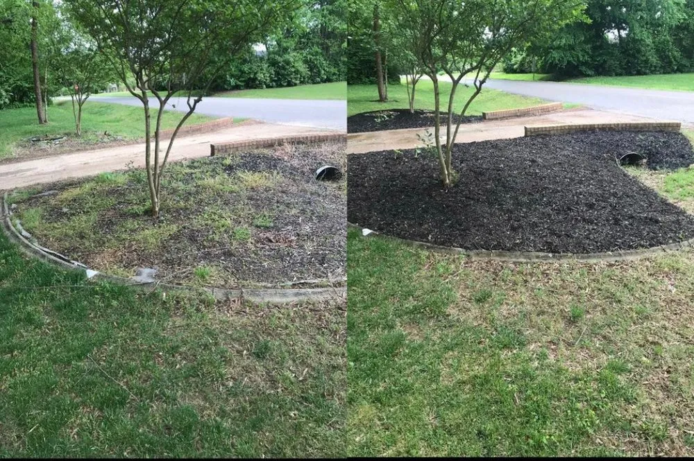 Reliable yard maintenance in Lake McQueeney, TX by Guadalupe Waterfront Home Improvement