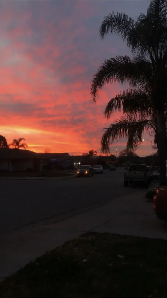 Expert landscape installation for residential properties in Hollister, CA by Guadalupes landscape