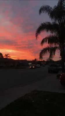 Guadalupes landscape Logo