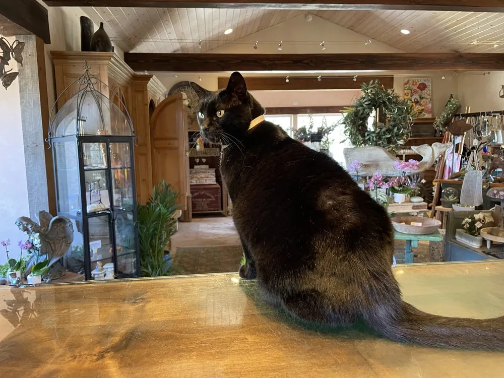 Affordable residential landscaping in Gualala, CA by Gualala Nursery and Trading Company