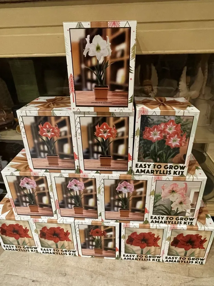 Reliable landscape installation experts serving Gualala, CA - Gualala Nursery and Trading Company