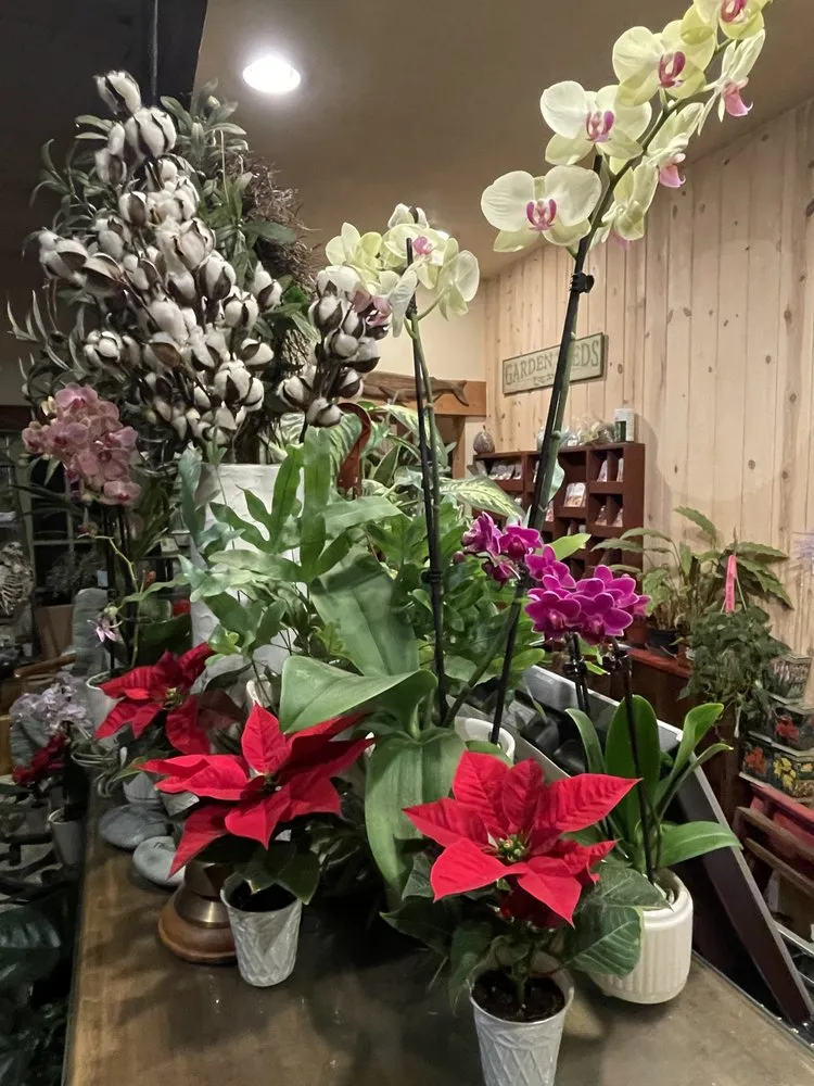 Affordable outdoor landscaping experts serving Gualala, CA - Gualala Nursery and Trading Company