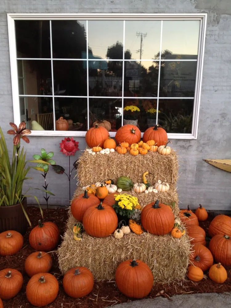 Expert yard cleanup service for homes in Gualala, CA by Gualala Nursery and Trading Company