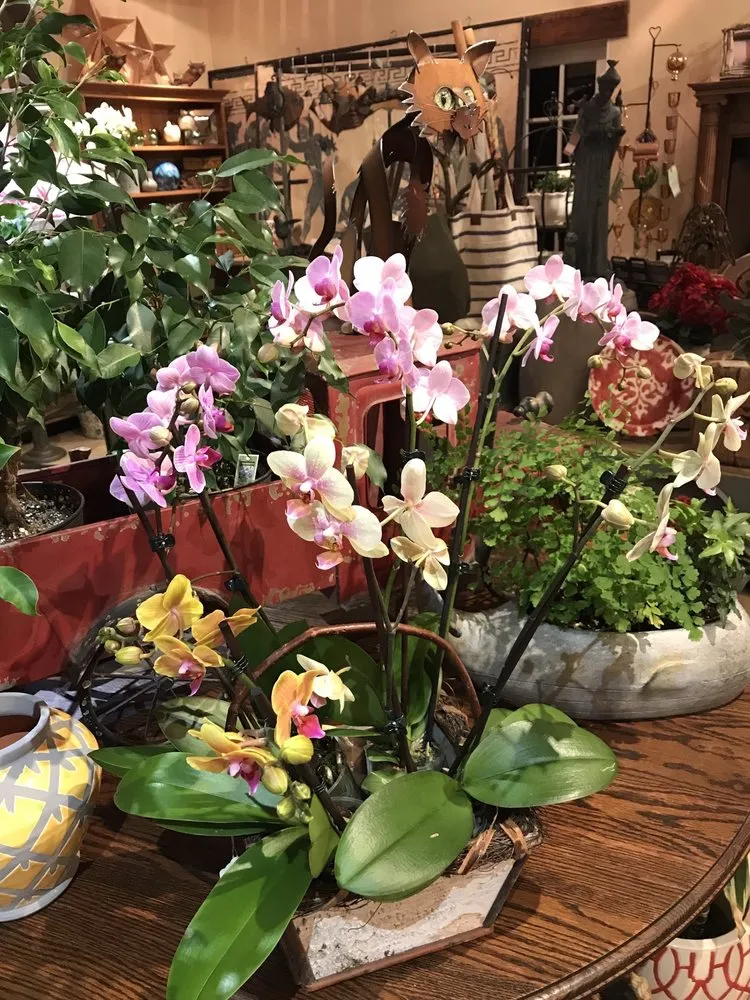 Affordable outdoor landscaping in Gualala, CA by Gualala Nursery and Trading Company