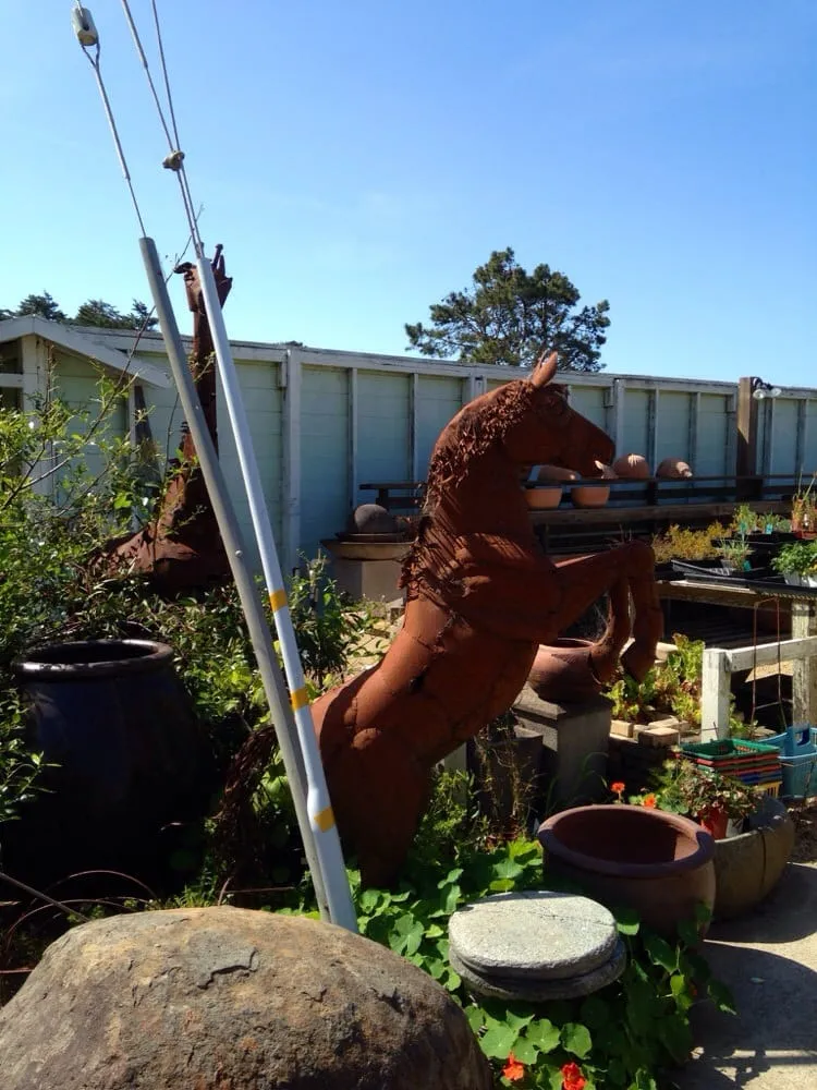 Top-rated yard maintenance in Gualala, CA - Gualala Nursery and Trading Company