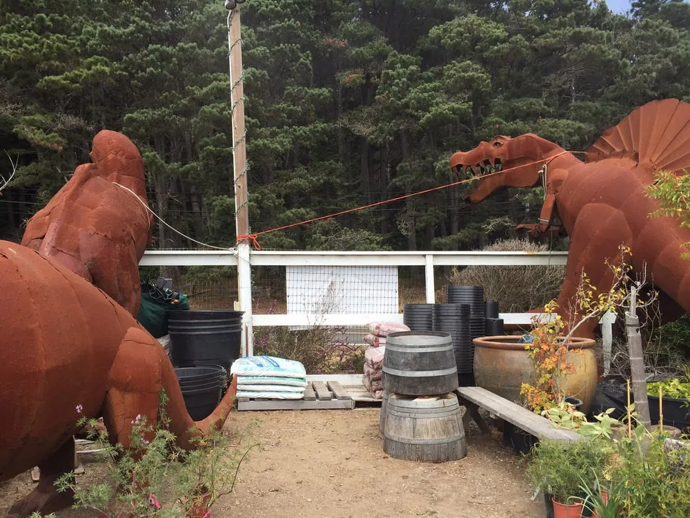 Expert landscape design near you in Gualala, CA by Gualala Nursery and Trading Company