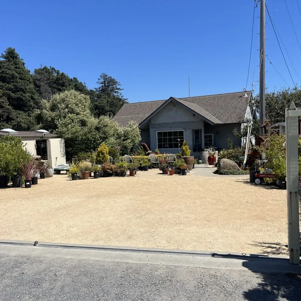 Top-rated yard cleanup service experts serving Gualala, CA - Gualala Nursery and Trading Company