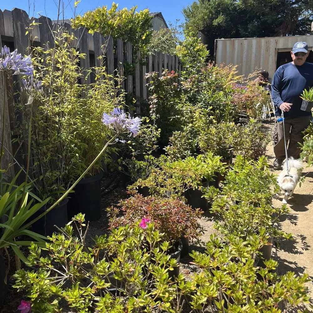 Custom landscape design with custom design in Gualala, CA by Gualala Nursery and Trading Company