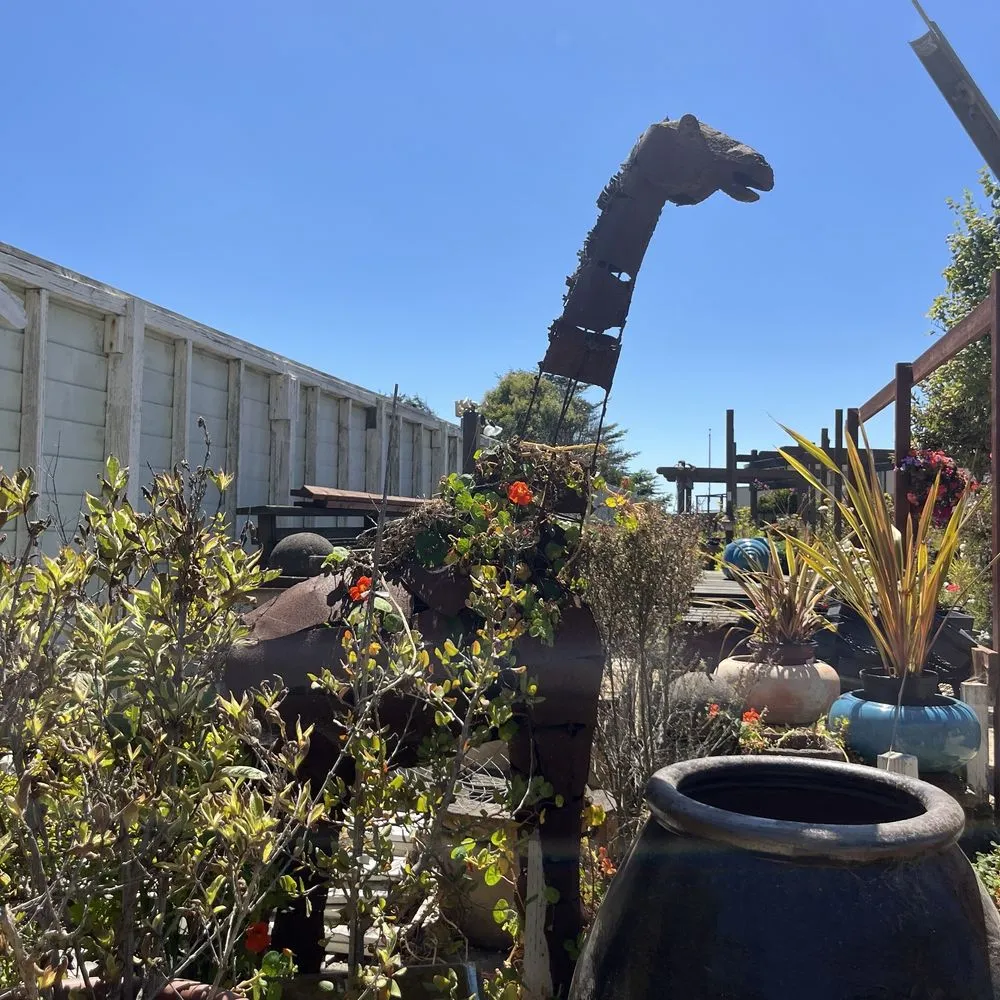 Professional lawn care service for year-round maintenance across Gualala, CA - Gualala Nursery and Trading Company