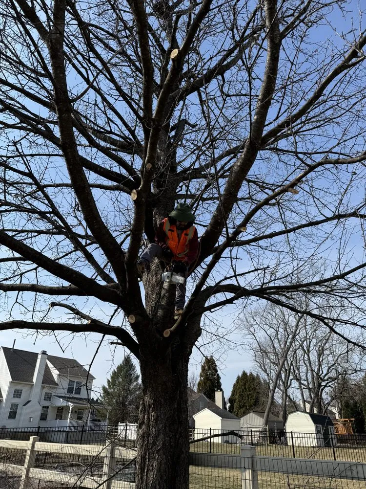 Professional landscape installation in Easton, PA - Guaman Landscaping