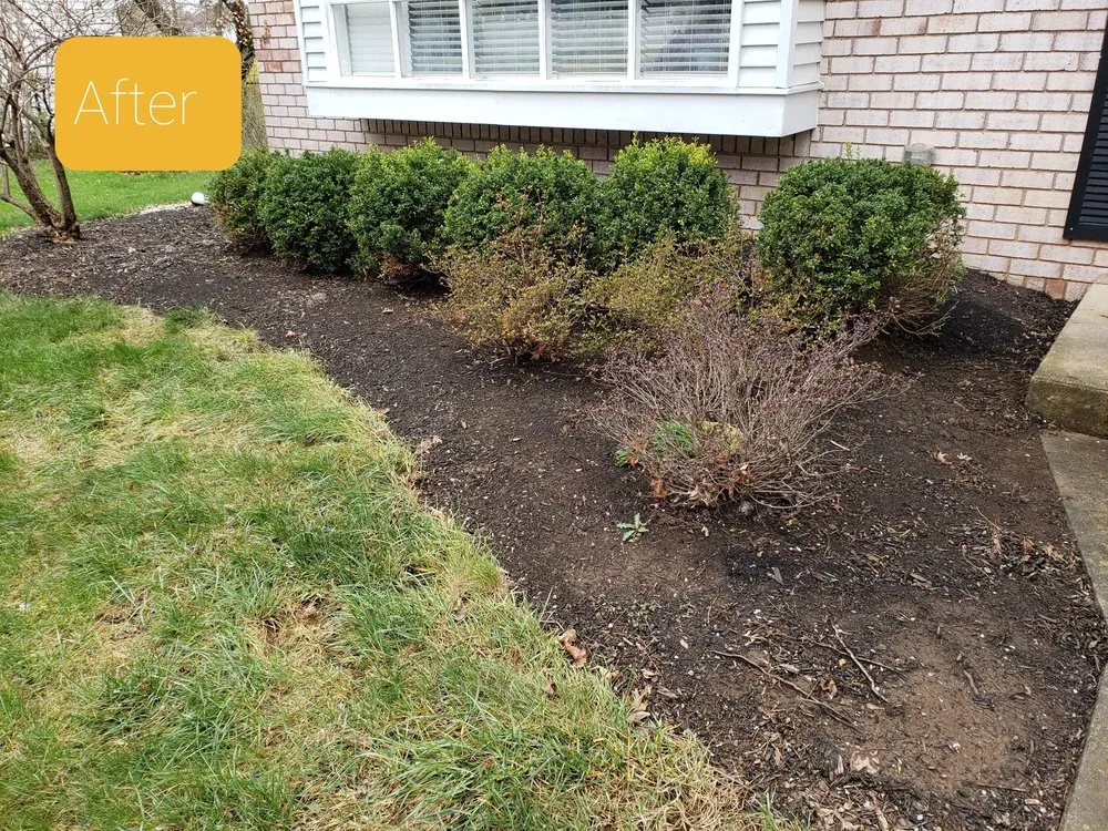 Trusted yard maintenance in Easton, PA by Guaman Landscaping