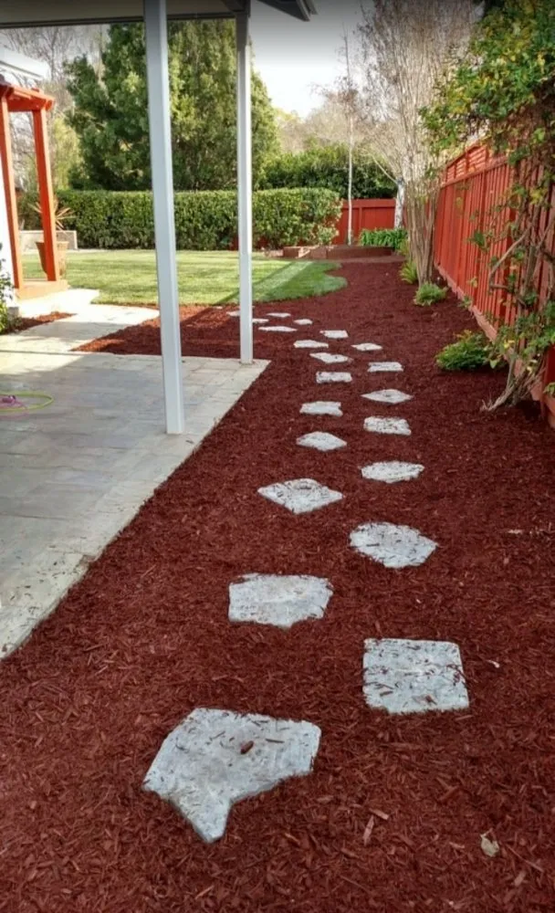 Reliable lawn care service experts serving San José, CA - Guapochon Gardening