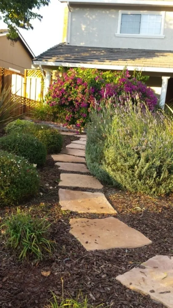 Custom garden landscaping in San José, CA - Guapochon Gardening