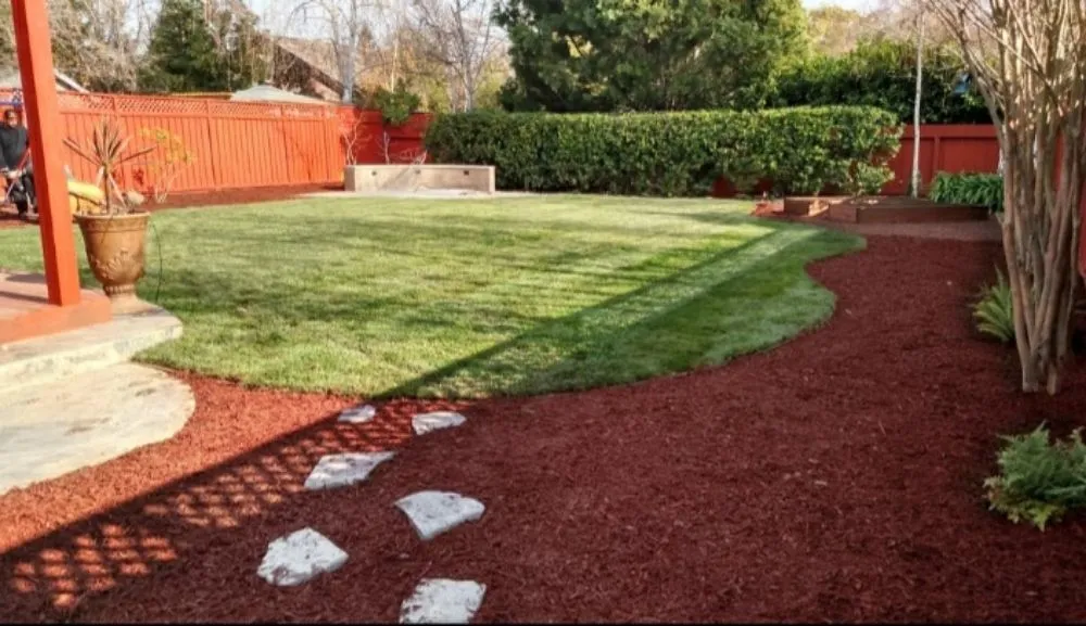 Custom yard maintenance in San José, CA by Guapochon Gardening