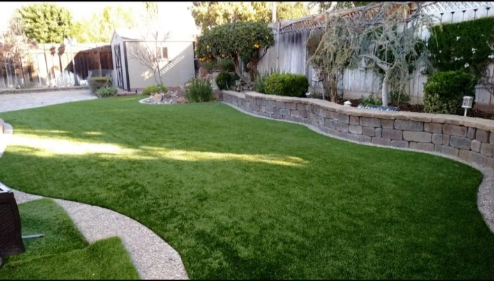 Professional yard cleanup service experts serving San José, CA - Guapochon Gardening