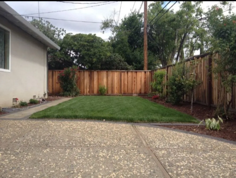 Professional landscape installation for beautiful yards in San José, CA by Guapochon Gardening