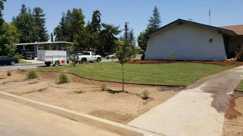 Reliable yard cleanup service for homes across Fresno, CA - Guarantee Landscape