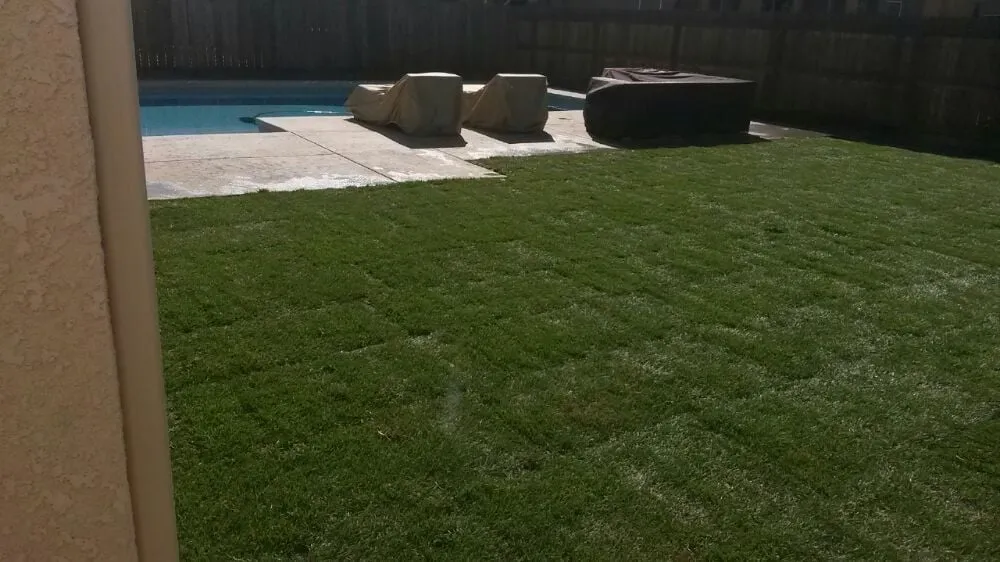 Professional landscape design for beautiful yards in Fresno, CA by Guarantee Landscape