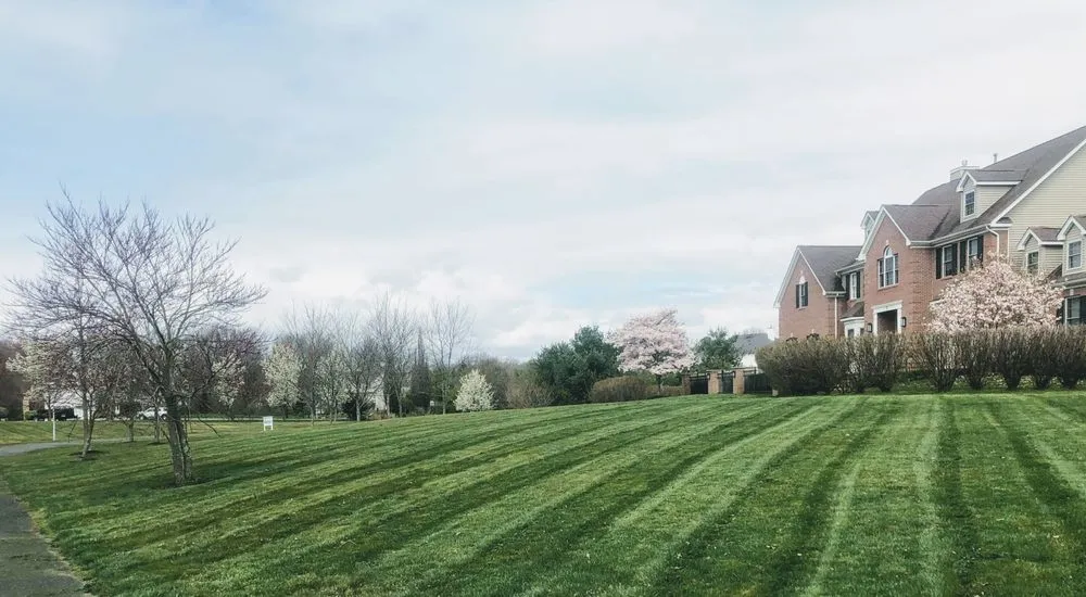 Local landscaping services near you across Trenton, NJ - Guarantee Landscaping