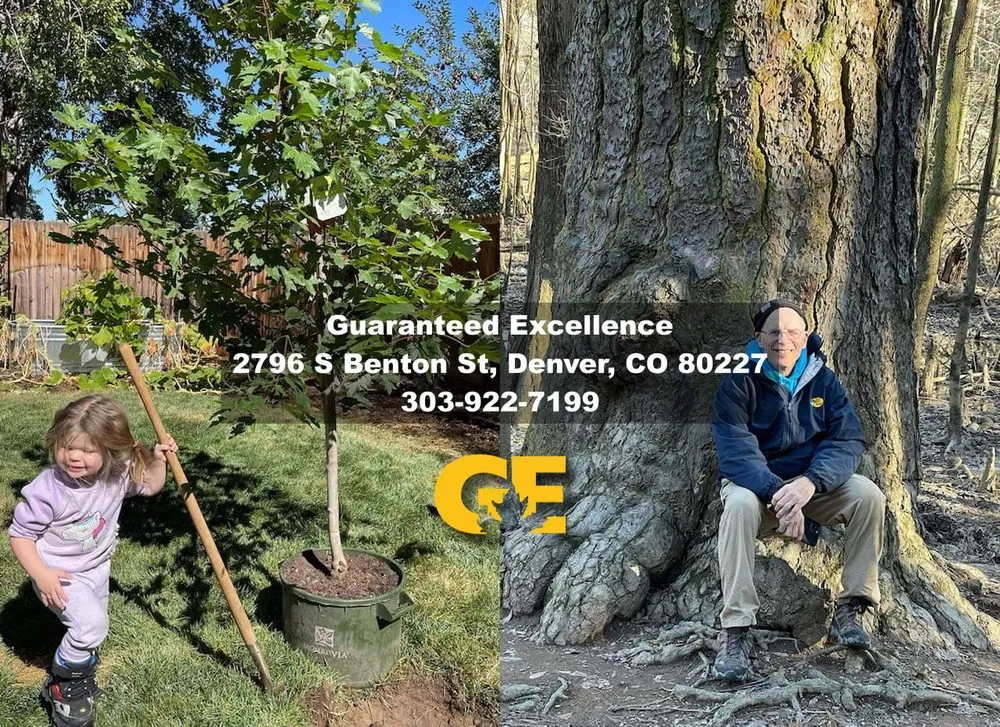 Professional garden landscaping for outdoor upgrades across Denver, CO - Guaranteed Excellence Landscaping