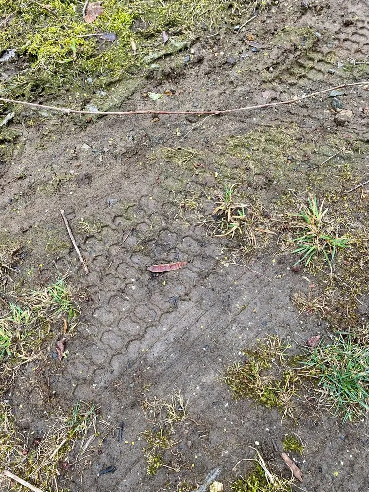 Reliable residential landscaping for beautiful yards across Middletown, NJ - Guaranteed Landscaping