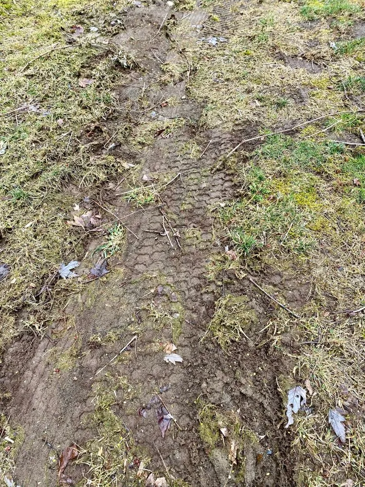 Local landscape design for year-round maintenance across Middletown, NJ - Guaranteed Landscaping