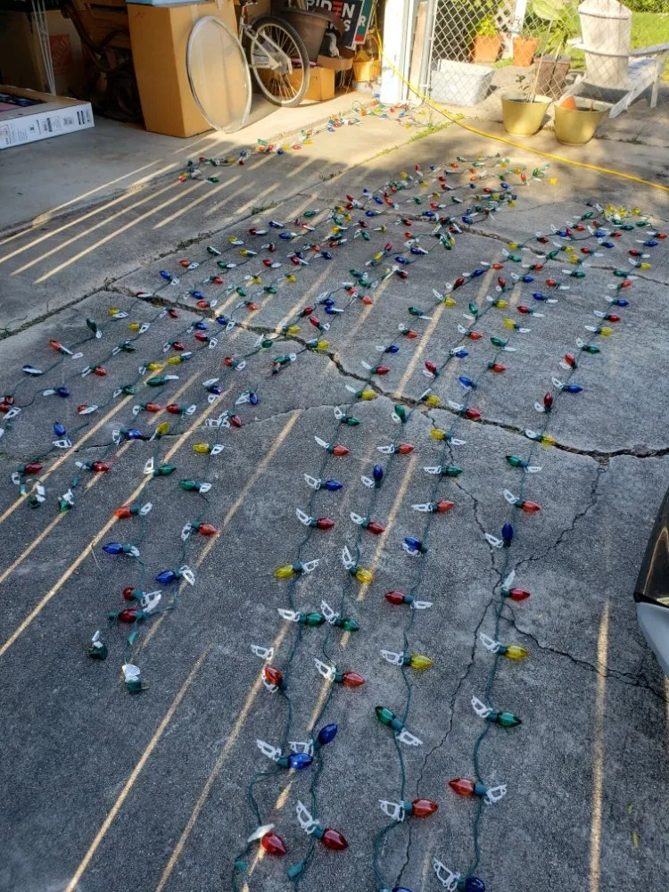 Professional yard maintenance experts serving Corpus Christi, TX - Guaranteed Satisfaction