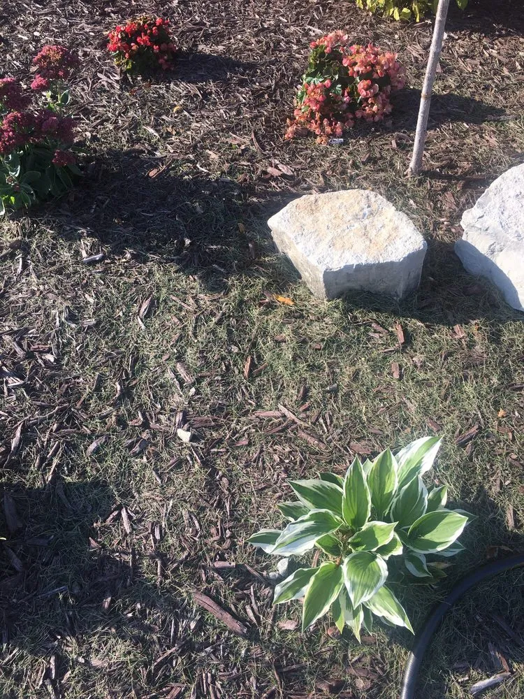 Affordable yard maintenance for outdoor upgrades across Eden Prairie, MN - Guaranteed Turf Care