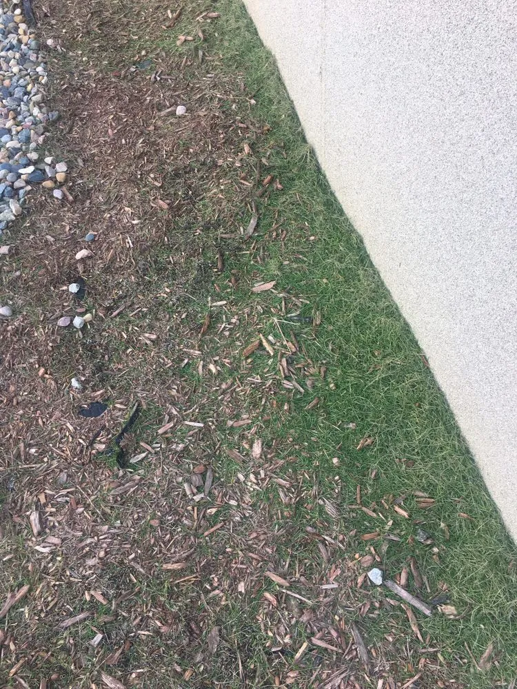 Trusted landscaping services experts serving Eden Prairie, MN - Guaranteed Turf Care