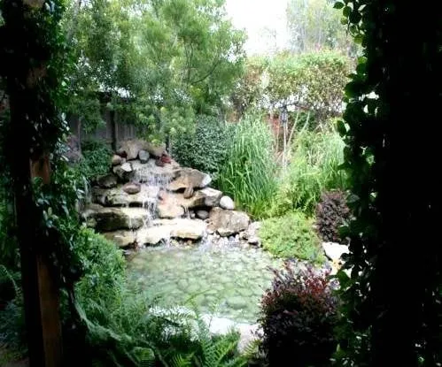 Top-rated yard cleanup service in Fort Worth, TX - Guardado Landscaping