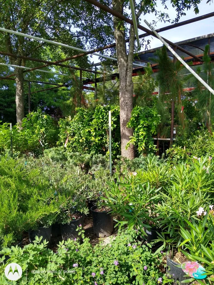 Affordable residential landscaping in Fort Worth, TX by Guardado Landscaping