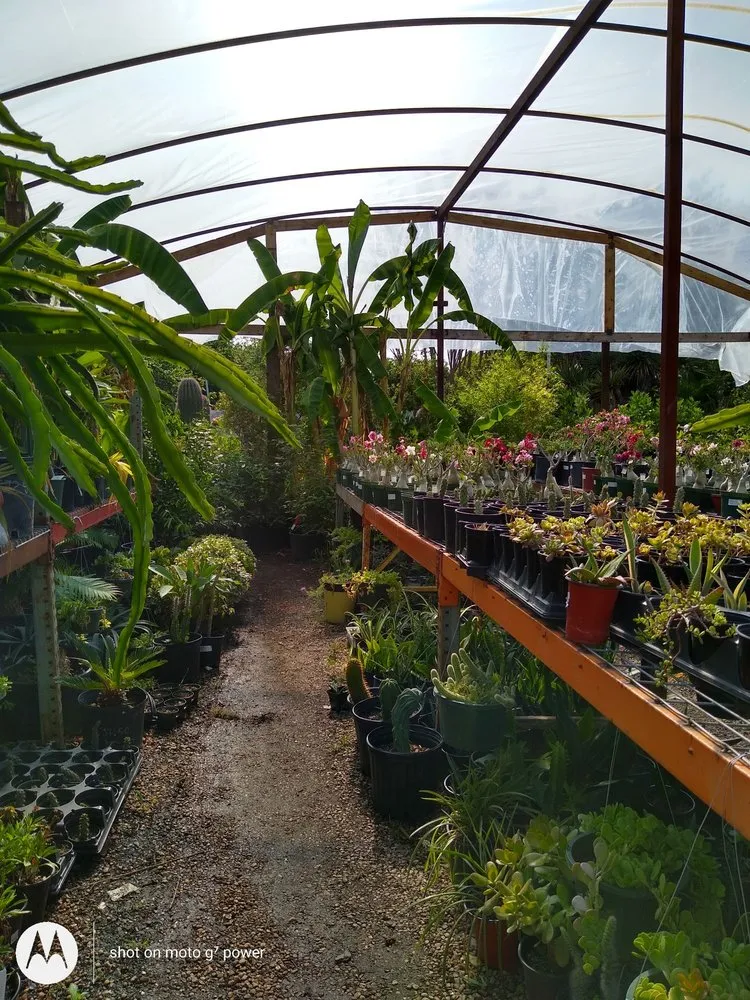 Top-rated landscape design experts serving Fort Worth, TX - Guardado Landscaping