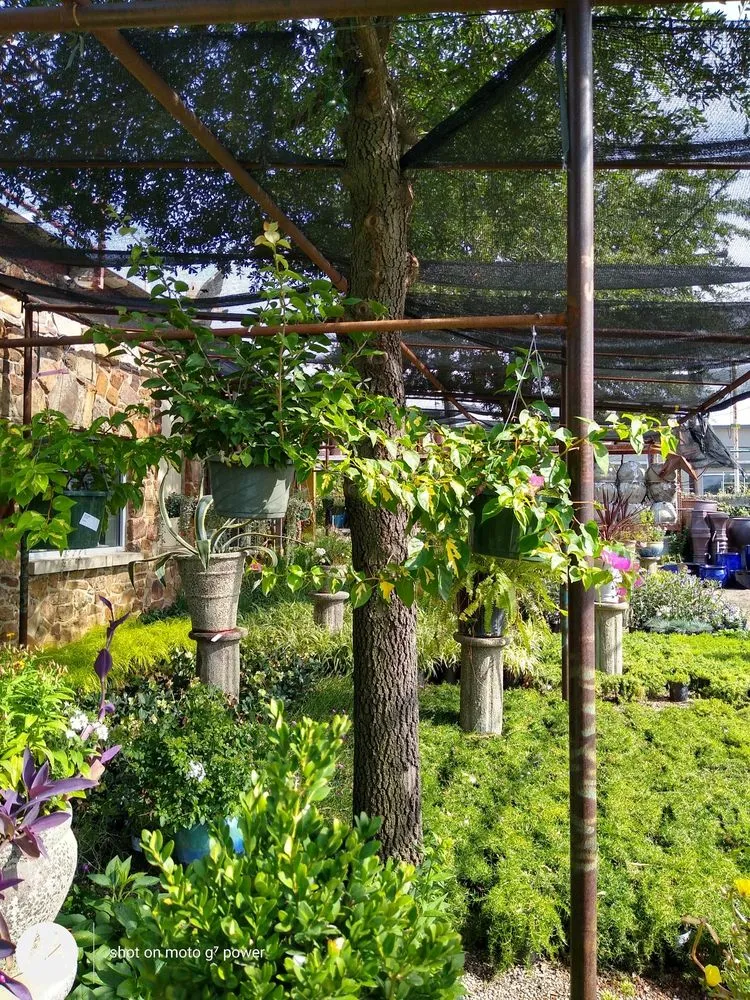 Reliable yard maintenance with custom design across Fort Worth, TX - Guardado Landscaping