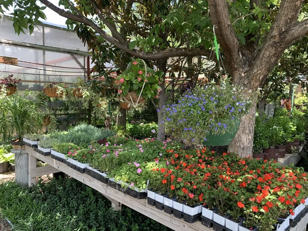 Trusted residential landscaping in Fort Worth, TX - Guardado Landscaping