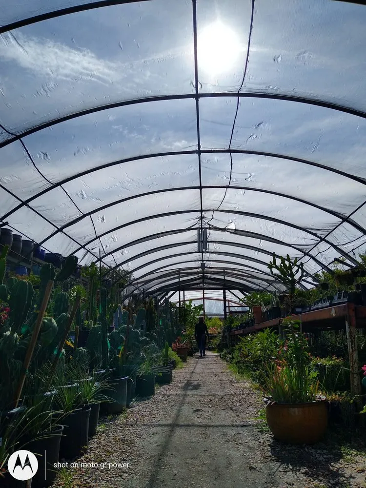 Top-rated lawn care service for year-round maintenance in Fort Worth, TX by Guardado Landscaping