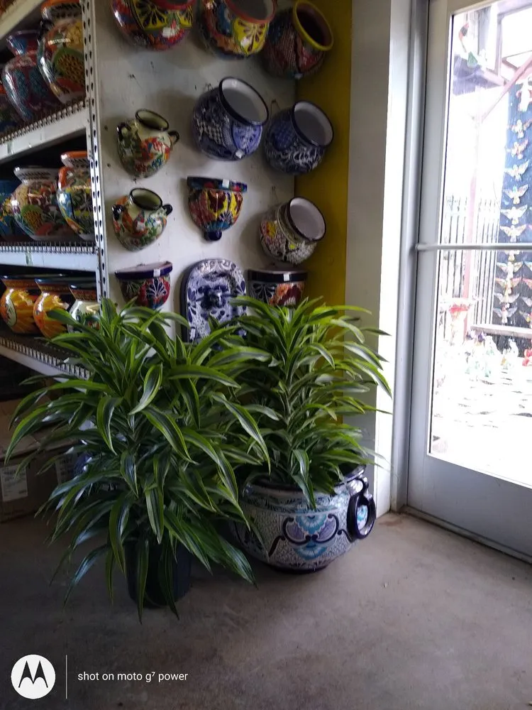 Trusted outdoor landscaping in Fort Worth, TX by Guardado Landscaping