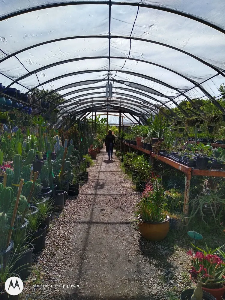 Reliable lawn care service for beautiful yards in Fort Worth, TX by Guardado Landscaping