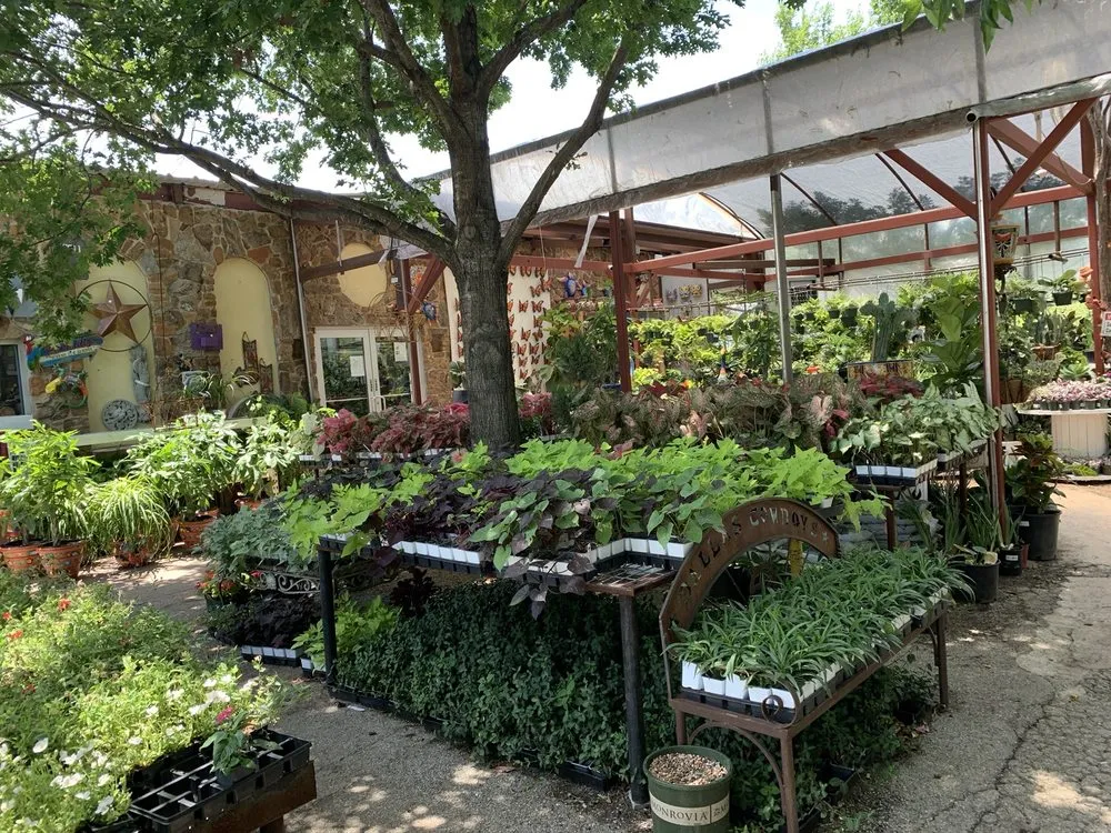 Affordable landscape design for outdoor upgrades across Fort Worth, TX - Guardado Landscaping