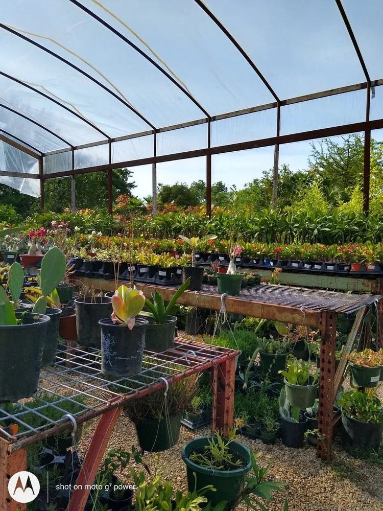 Top-rated residential landscaping experts serving Fort Worth, TX - Guardado Landscaping