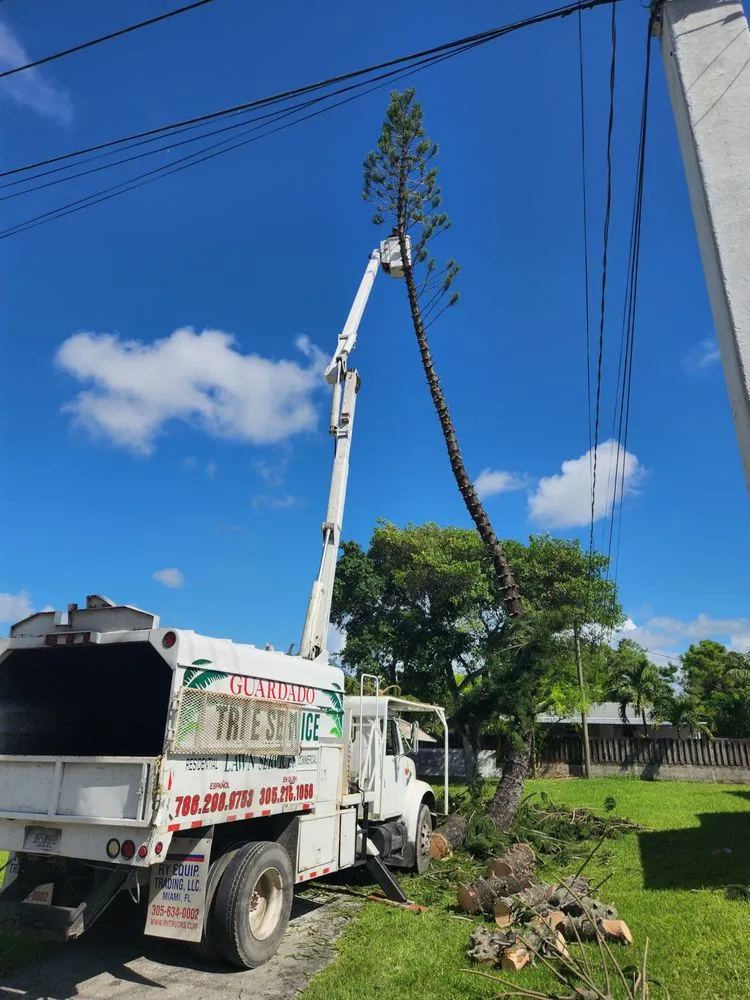 Local yard maintenance for homes across Goulds, FL - Guardado Tree Service and Lawn Services