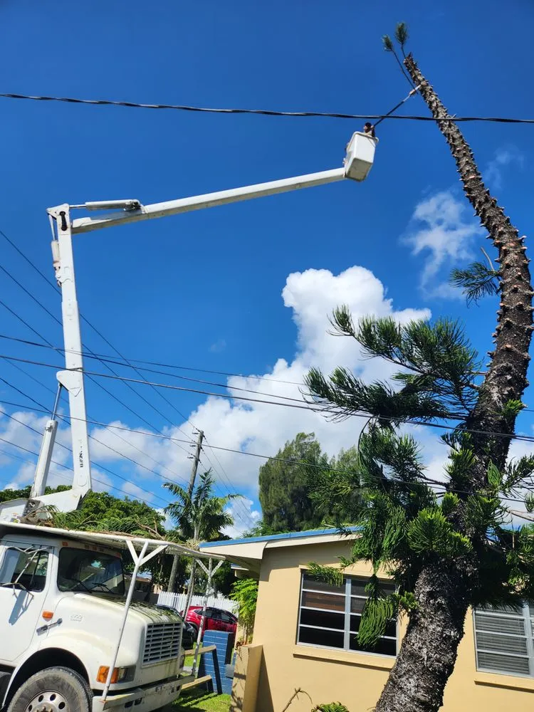 Reliable outdoor landscaping with custom design in Goulds, FL by Guardado Tree Service and Lawn Services