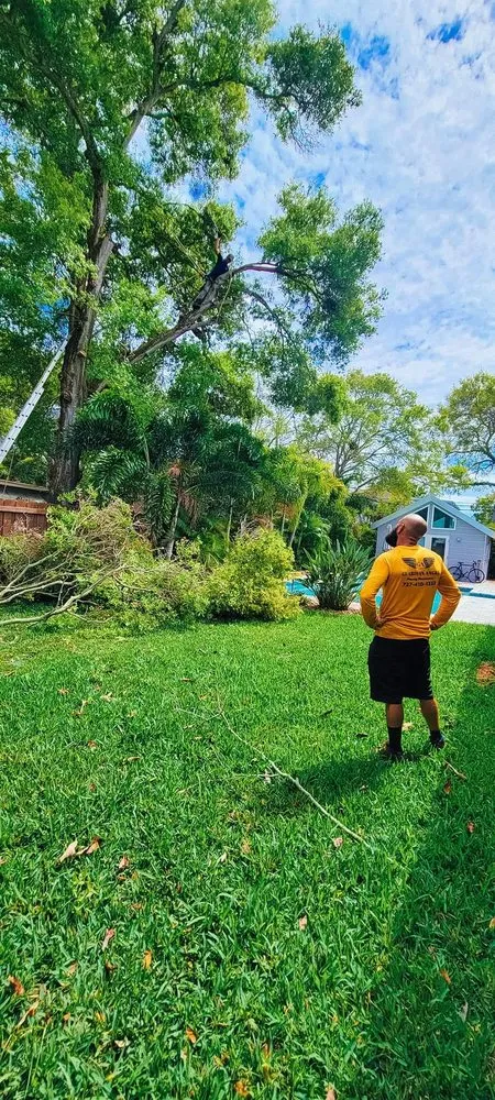 Affordable lawn care service experts serving Kenneth City, FL - Guardian Angel Property Maintenance