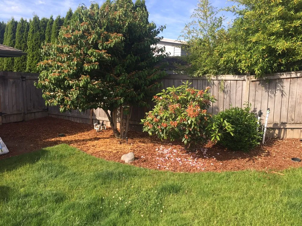 Reliable outdoor landscaping for beautiful yards in Des Moines, WA by Guardian Landscape