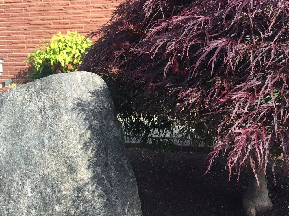 Local landscape design for year-round maintenance in Des Moines, WA by Guardian Landscape